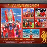 Liverpool signed Trent Alexander Arnold Photo Montage Framed Trophy Celebrations