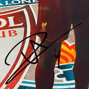 Liverpool signed Virgil Van Dijk Photo Montage Framed of The trophy Celebrations - Image 2
