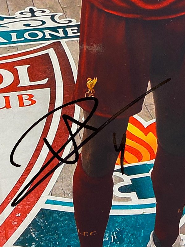 Liverpool signed Virgil Van Dijk Photo Montage Framed of The trophy Celebrations