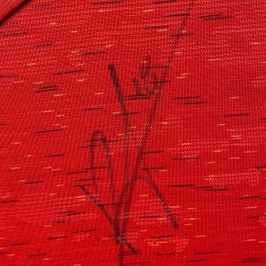 Manchester Utd Home shirt signed by Bruno Fernandes , Professionally framed - Image 3