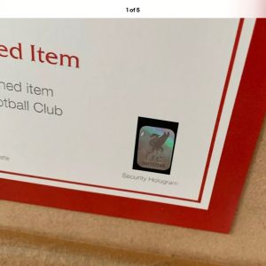 Liverpool Football Shirts Signed by Mohamed Salah, & Firmino 20/21 Dual  Professionally Framed - Image 7
