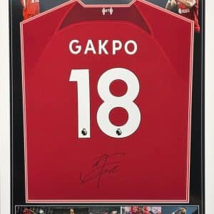 Latest Products MFM Sports Memorabilia