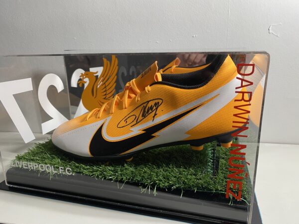 Darwin Nunez , Signed Football Boot In Display Case