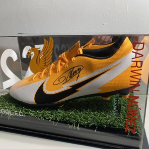 Latest Products MFM Sports Memorabilia