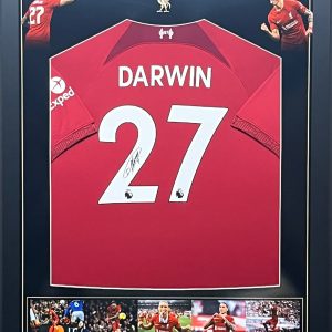 Latest Products MFM Sports Memorabilia