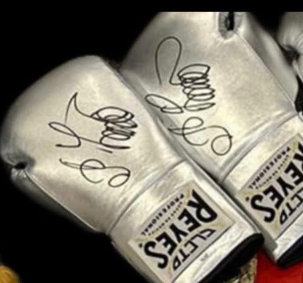 Oleksandr Usyk Undisputed Signed Silver  Boxing Glove In Display Case